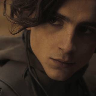 Paul Atreides wallpaper