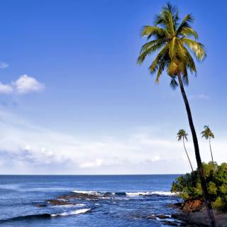 Port Blair wallpaper