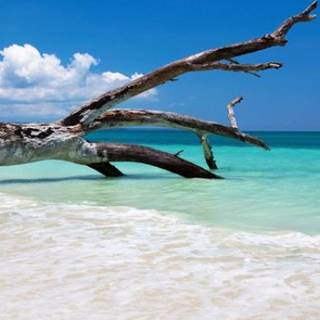 Port Blair wallpaper