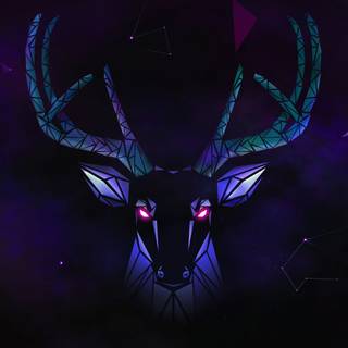 Deer 4k wallpaper