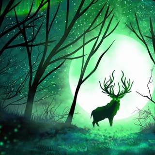 Deer 4k wallpaper