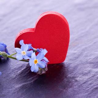 Happy Valentines Day 2023 Ultra HD wallpaper