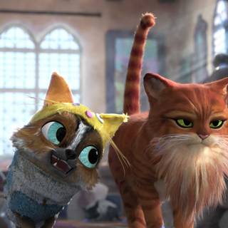 Puss in Boots the Last Wish HD wallpaper