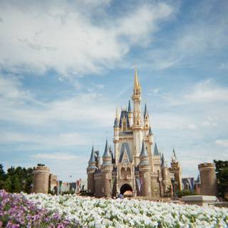 Tokyo Disneyland wallpaper