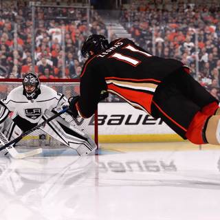 NHL 23 wallpaper