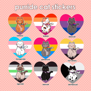 Pride cat wallpaper