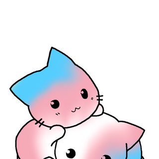 Pride cat wallpaper