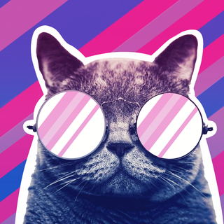 Pride cat wallpaper