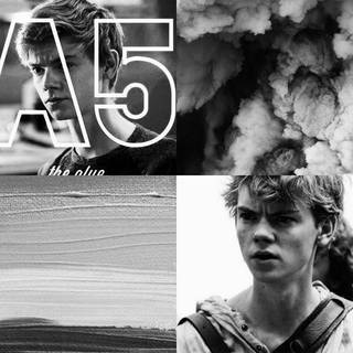 Newt The Maze Runner wallpaper