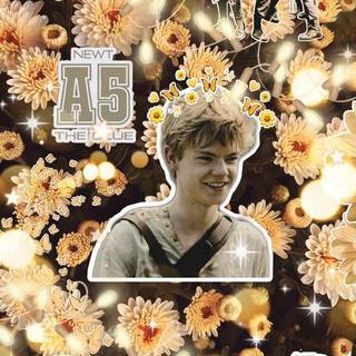 Newt The Maze Runner wallpaper