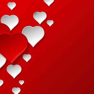 White Valentines wallpaper