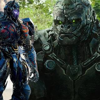 Transformers Rise of The Beasts 2023 movie HD wallpaper