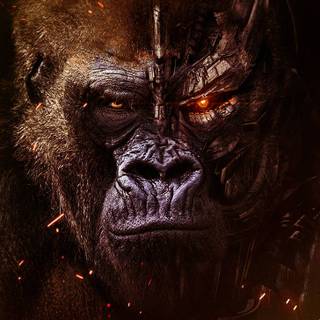 Transformers Rise of The Beasts 2023 movie HD wallpaper