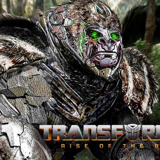 Transformers Rise of The Beasts 2023 movie HD wallpaper
