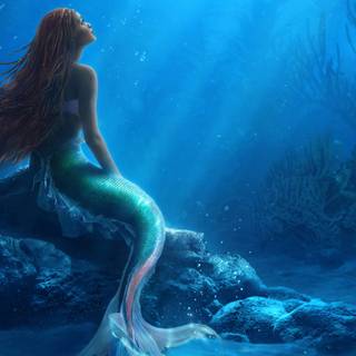 The Little Mermaid movie 2023 HD wallpaper