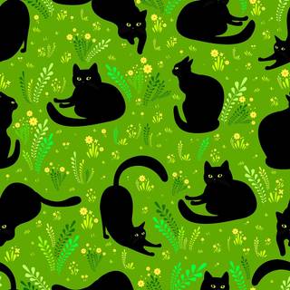 Black cat spring wallpaper