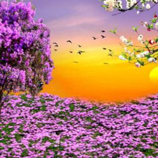 Cute spring scenes wallpaper