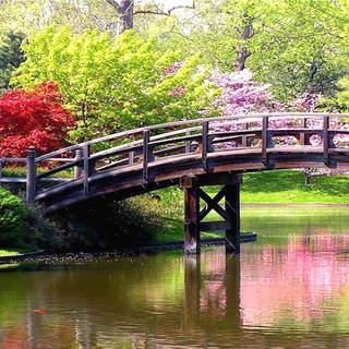 Cute spring scenes wallpaper