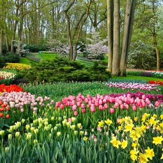 Ultrawide spring wallpaper