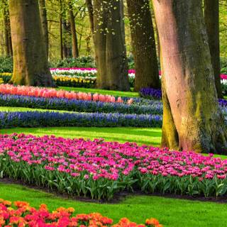 Ultrawide spring wallpaper