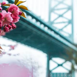 Ultrawide spring wallpaper