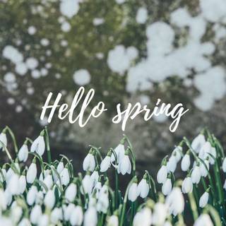 Springtime aesthetic wallpaper