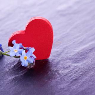 Valentine February wallpaper