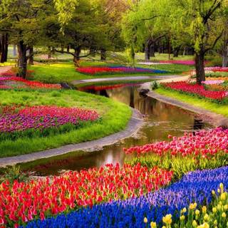 Ultrawide spring wallpaper