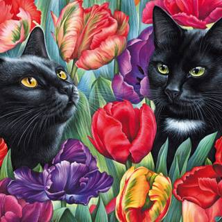 Black cat spring wallpaper