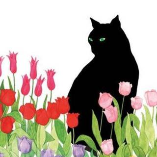 Black cat spring wallpaper