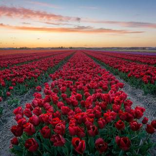 Ultrawide spring wallpaper