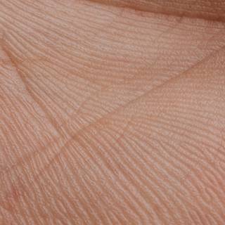 Human skin wallpaper