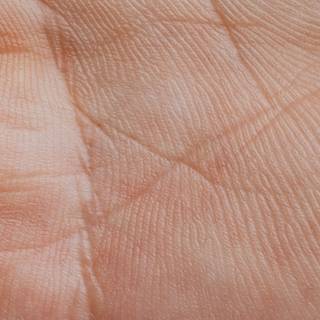 Human skin wallpaper