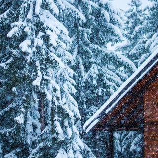 Luxury winter wallpaper