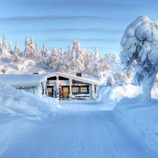 Luxury winter wallpaper