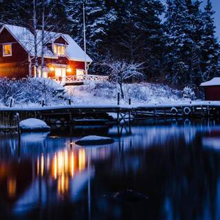 Luxury winter wallpaper