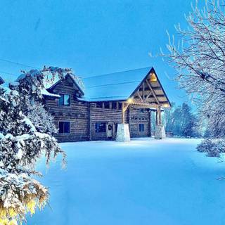 Luxury winter wallpaper