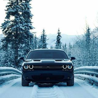 Luxury winter wallpaper