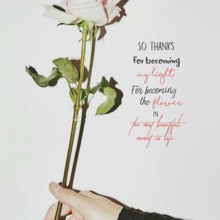 The Most Beautiful Moment In Life wallpaper