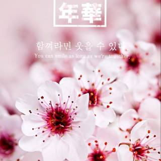 The Most Beautiful Moment In Life wallpaper