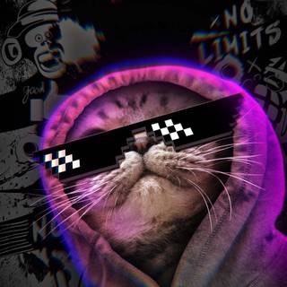 Cat with hoodie wallpaper