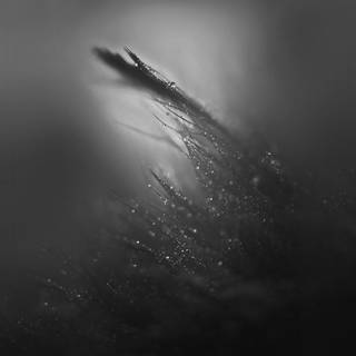 Dark rainy wallpaper