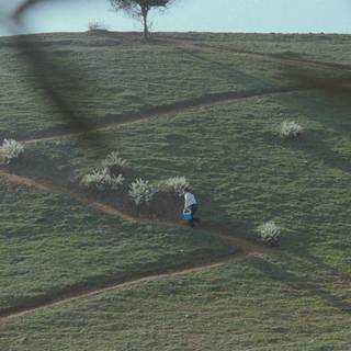 Kiarostami wallpaper