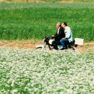 Kiarostami wallpaper