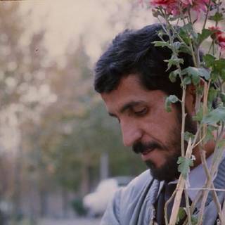 Kiarostami wallpaper