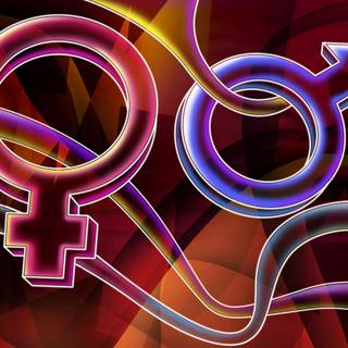 Him and her wallpaper