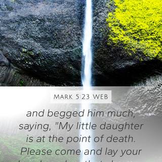 Him and her wallpaper