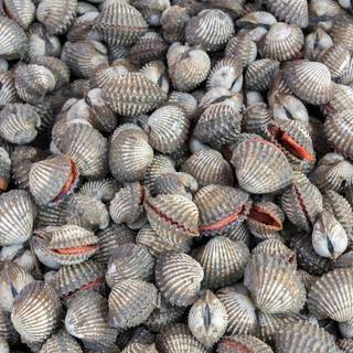 Food safety wallpaper