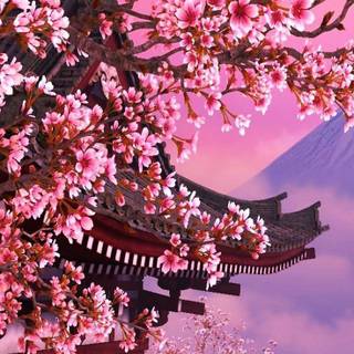 Japan flower wallpaper