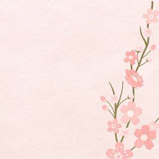 Japan flower wallpaper
